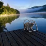 It’s All About Dock Nudity