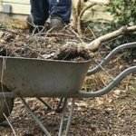 7 Things Not to Dump in the Lake