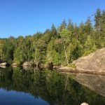 The Do’s and Don’t’s For your Shoreline