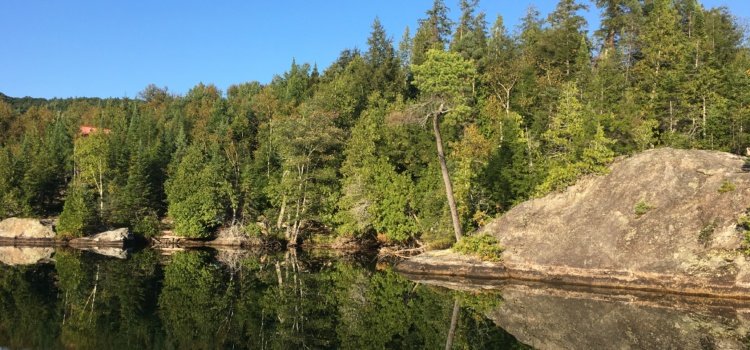 The Do’s and Don’t’s For your Shoreline